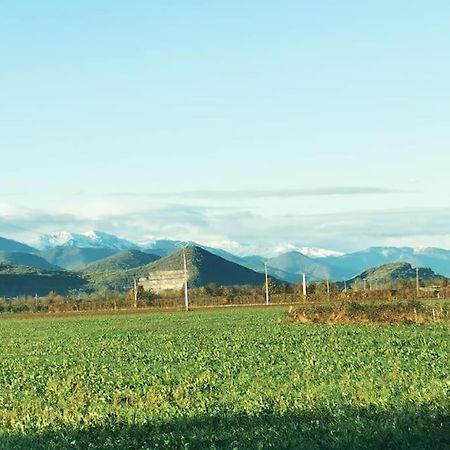 T3 Au Pied Des Pyrenees Apartment Pointis-de-Riviere Luaran gambar